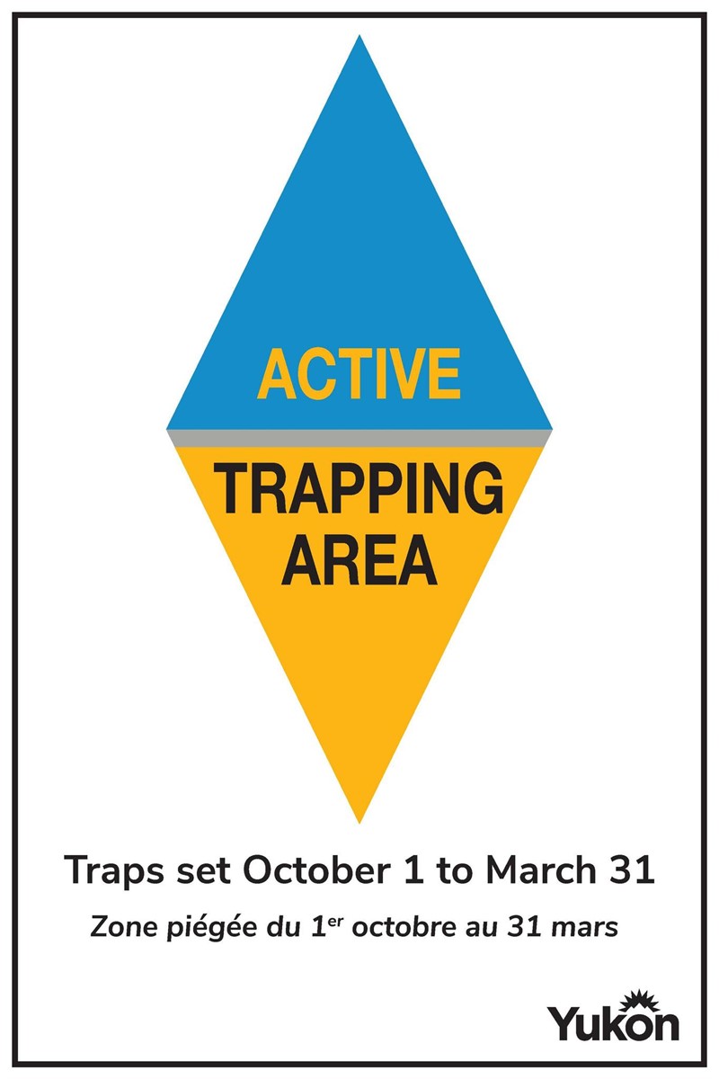 583327965_1270754618420242_7191130877479722855_n