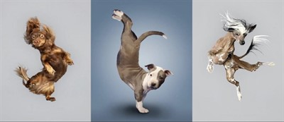 594058516_10173651739620145_1396690637883010769_n