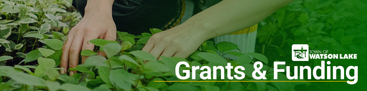 Town of Watson Lake grants and funding banner