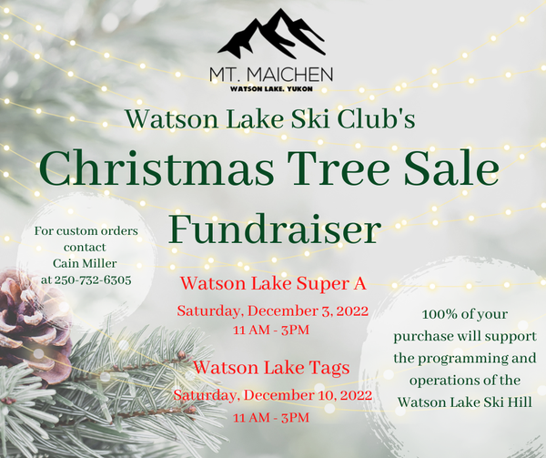 Christmas Tree Fundraiser Event